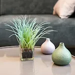 Artius Centre شقة
