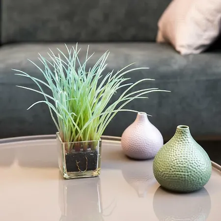 Foorum Centre Appartement